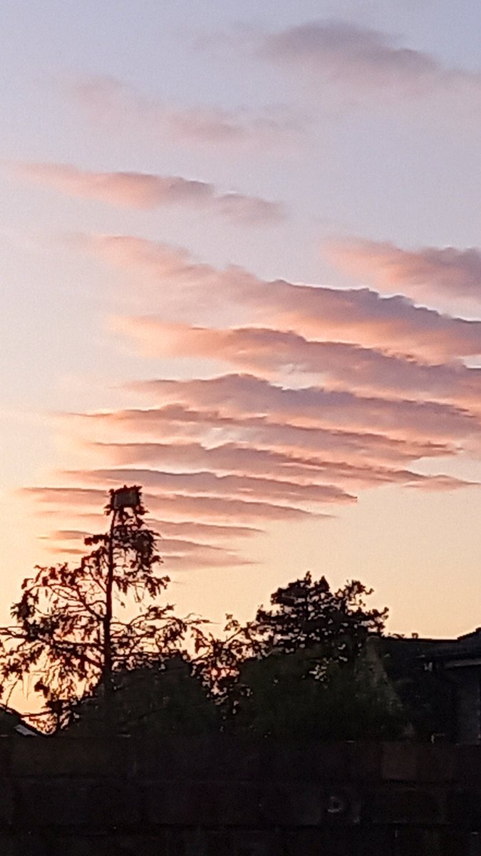Interesting sky this evening at Mepal .Has it got a name ? #fenlandsky  <a href="/ChrisPage90/">Chris Page - Weatherman</a> <a href="/WeatherAisling/">Aisling Creevey</a>