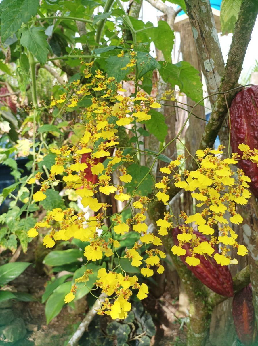 <a href="/Paulo97813048/">Paulo</a> <a href="/Rozane_Costa/">Rozane Santana</a> <a href="/Jssica55272746/">Jéssica</a> "Se o governo de hoje tiver um comércio de armas para seu território, #jesus vai dizer que recompensa tereis? ( Lc 6,32-36 ; 1Jo 5,18-21; Ez 28,2-10.16-19 )" mas se vc tiver conhecimento de #Deus Ele vai te dizer eu te dou Vida Eterna, #bíblia