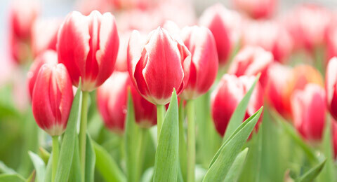 Bestsellers with Strong Female Leads Sale
storyoriginapp.com/to/j8z2mKv
Get these books fast! This promotion ends November 2nd!