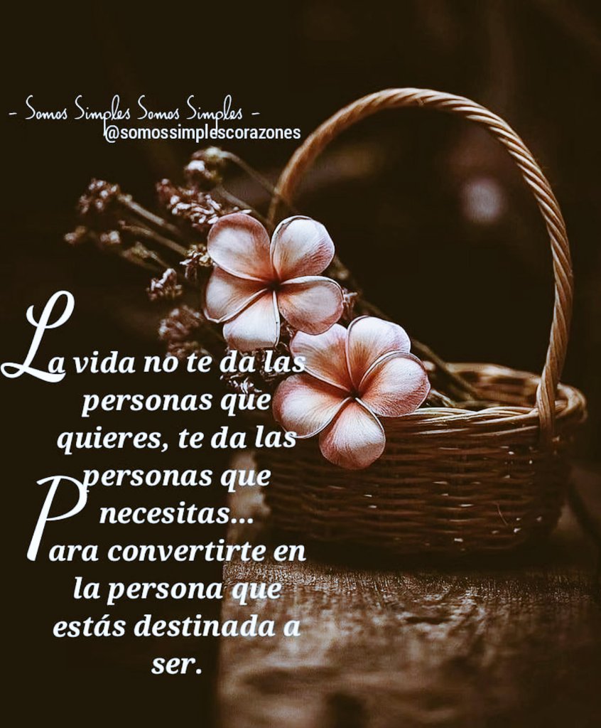 Evocando El Ayer 😌 tweet media