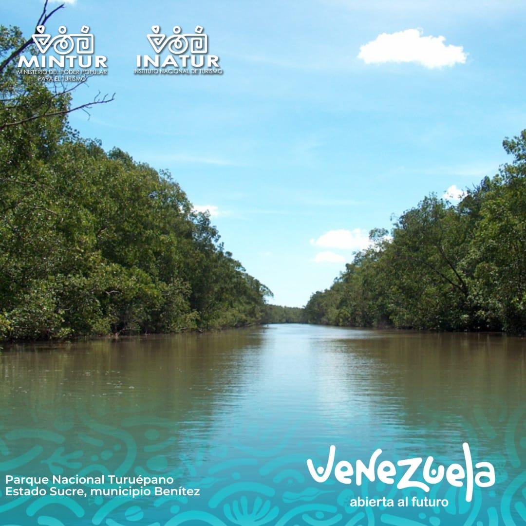 Inatursucre's tweet photo. El parque nacional Turuépano es un parque nacional de Venezuela, localizado en el municipio Benítez, del Estado Sucre, al norte del río San Juan y frente al golfo de Paria. 🏞️

Sus hermosos paisajes y el cariño de su gente son el principal atractivo de este lugar. https://t.co/9ajLTuPTu1