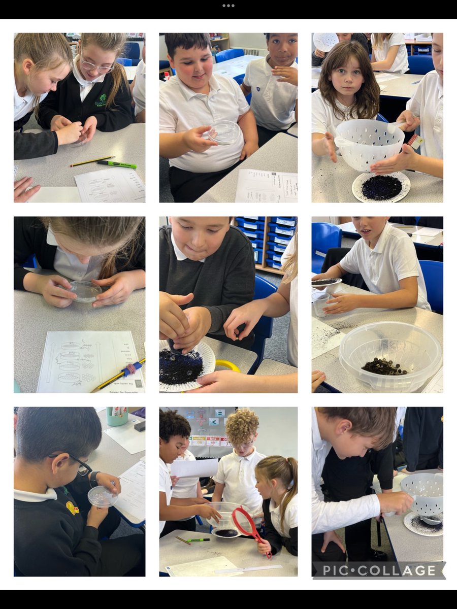 5RS enjoyed exploring how to separate mixtures today, using what they know about each substance’s properties. #science #changingmaterials #year5