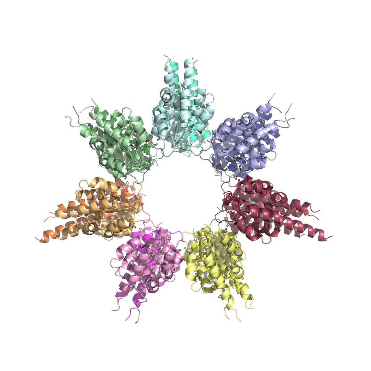 Koutmos Lab (@koutmoslab) on Twitter photo We're excited to announce our newest paper in <a href="/jbiolchem/">Journal of Biological Chemistry</a>: Bacterial RNA-free RNase P: structural and functional characterization of multiple oligomeric forms of a minimal protein-only ribonuclease P. Learn more about this beauty in the pre-proof version:
tinyurl.com/HARPRNaseP We're excited to announce our newest paper in <a href="/jbiolchem/">Journal of Biological Chemistry</a>: Bacterial RNA-free RNase P: structural and functional characterization of multiple oligomeric forms of a minimal protein-only ribonuclease P. Learn more about this beauty in the pre-proof version:
tinyurl.com/HARPRNaseP