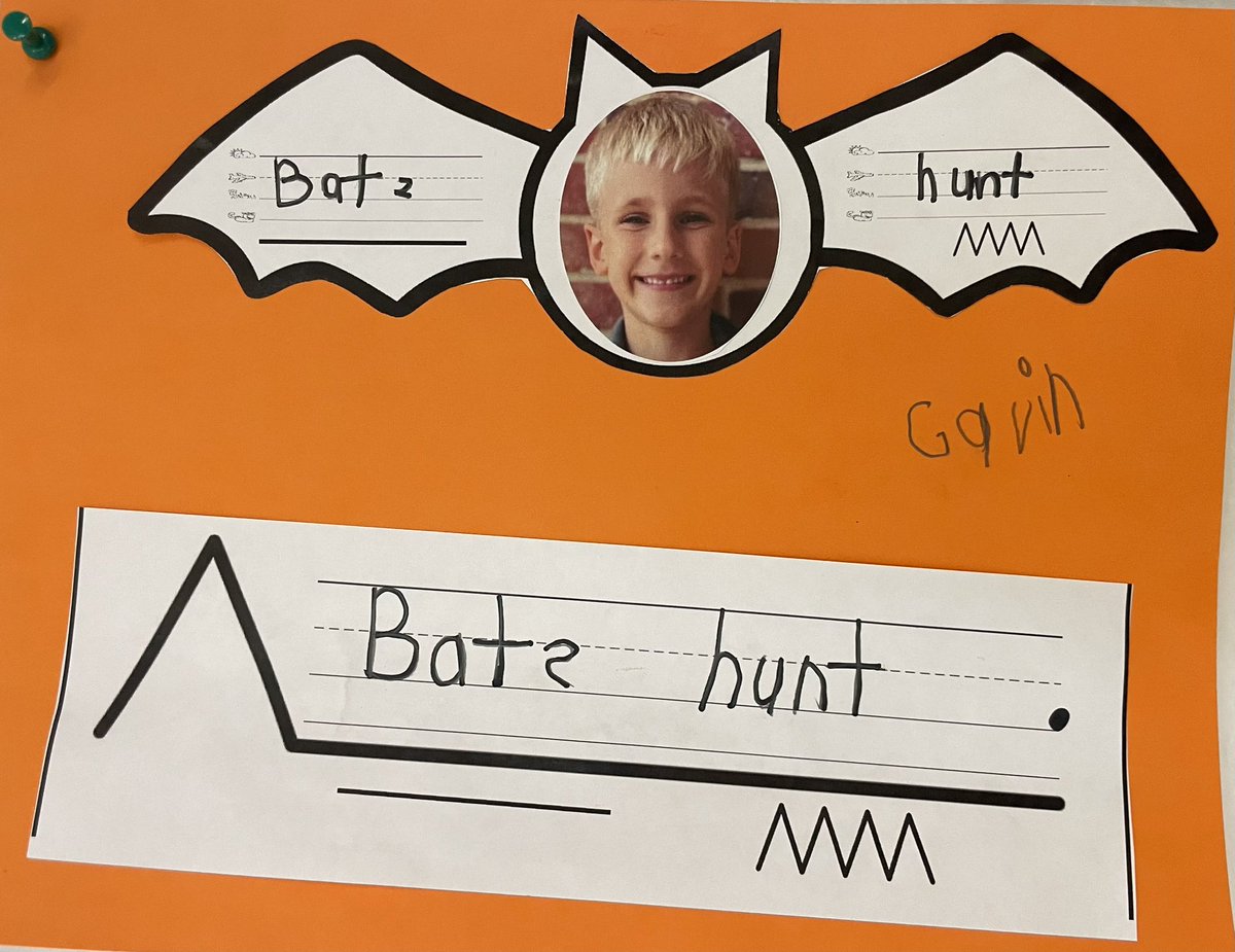 MrsKostka's tweet image. After building our knowledge about bats, we wrote barebone sentences to share some of our learning. #FYT #sentencestructure @haddonES1 @HaddonSchools