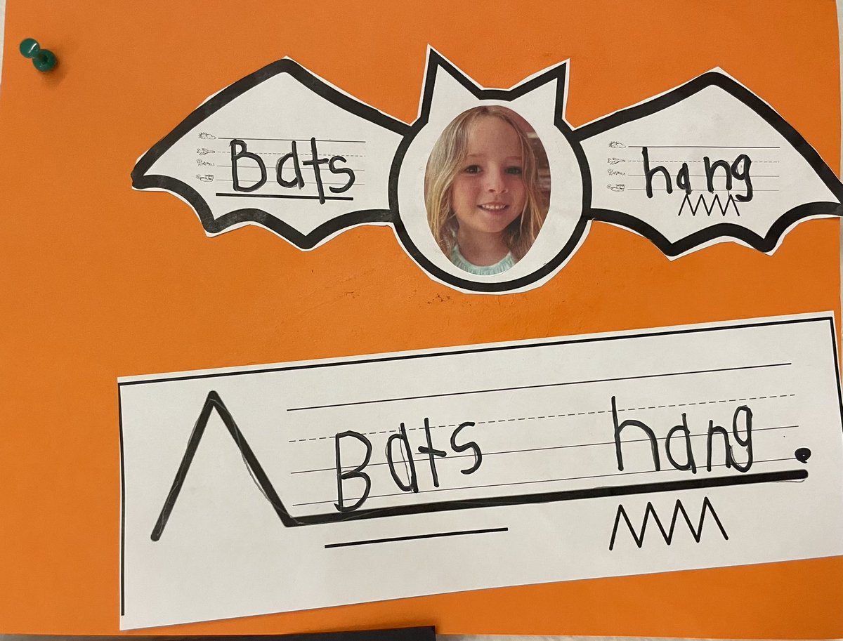 MrsKostka's tweet image. After building our knowledge about bats, we wrote barebone sentences to share some of our learning. #FYT #sentencestructure @haddonES1 @HaddonSchools