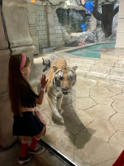 HumbleISD_WHE_GT (@whe_gt) on Twitter photo Talk about an immersive theme park! Today we went to the Downtown Aquarium to research for our Expo project. Students loved walking through the aquarium, riding the train through the shark tank, petting the stingrays and riding the rides! <a href="/HumbleISD_WHE/">Woodland Hills Elementary</a> <a href="/HumbleISD_ADV/">Humble ISD Advanced Learning</a> Talk about an immersive theme park! Today we went to the Downtown Aquarium to research for our Expo project. Students loved walking through the aquarium, riding the train through the shark tank, petting the stingrays and riding the rides! <a href="/HumbleISD_WHE/">Woodland Hills Elementary</a> <a href="/HumbleISD_ADV/">Humble ISD Advanced Learning</a>