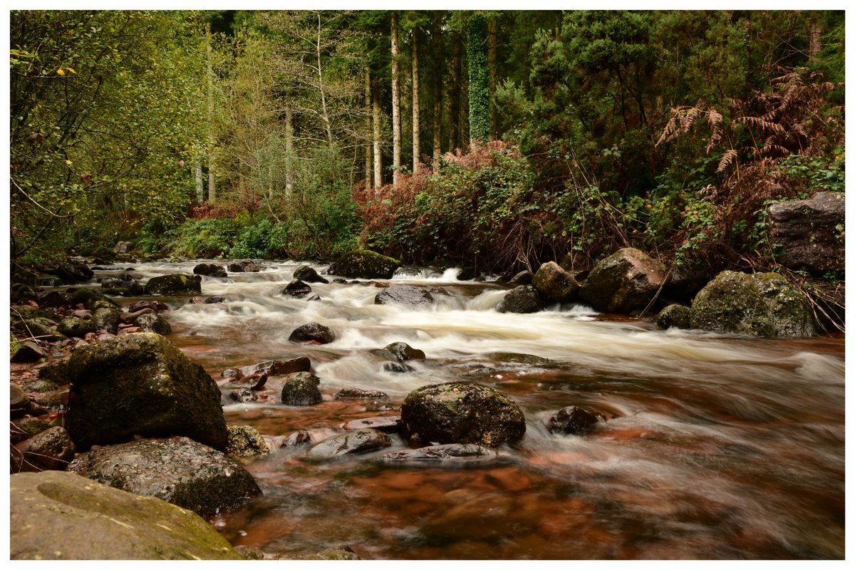 OllyGriffin's tweet image. Glengarra Woods, County Tipperary 👌..
#StormHour 
#rteweather #KeepDiscovering