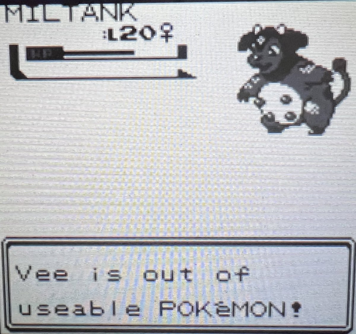 AjentVee's tweet photo. RT to jump scare a Pokémon fan https://t.co/C8rMIRkGDu
