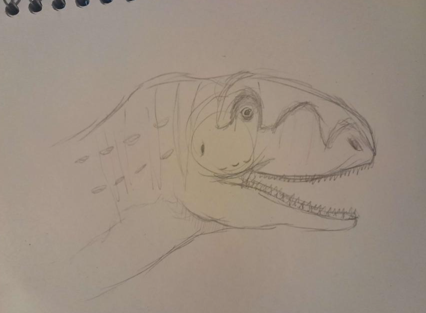 HarkfulAngel's tweet photo. paleo sketches, both roughtly took 6-8 minutes
#PaleoArt #Rugops #Irritator https://t.co/yn74STytL5