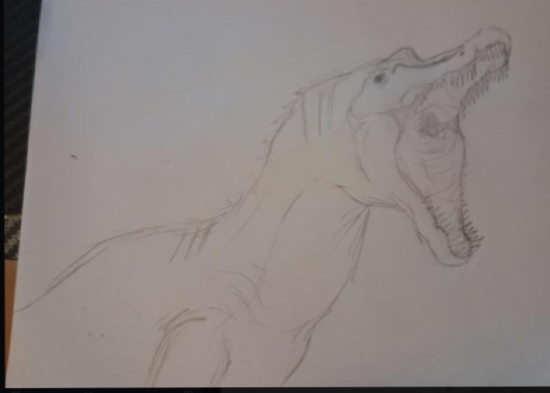 HarkfulAngel's tweet photo. paleo sketches, both roughtly took 6-8 minutes
#PaleoArt #Rugops #Irritator https://t.co/yn74STytL5