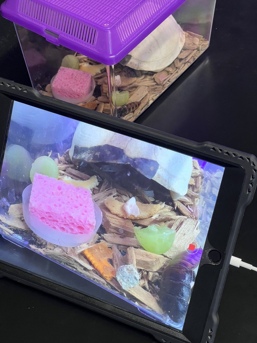 Erika Kalgren tweet media