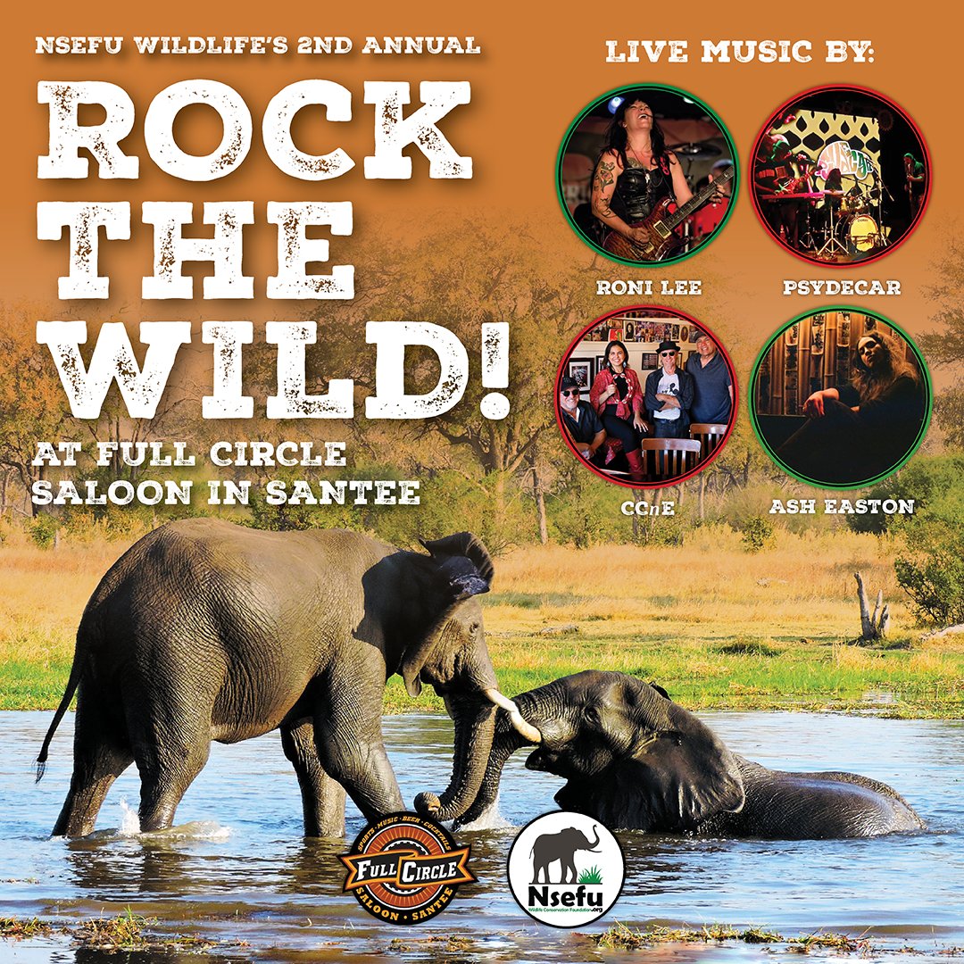 If you love #Music & support #WildlifeConservation, then join us on Sunday, November 5th for Rock The Wild! bit.ly/RockTheWild2023 #nsefu #rockthewild #coelewis #conservation #africa #wildlife #zambia #CCnE #RoniLee #AshEaston #Psydecar #FullCircleSaloon