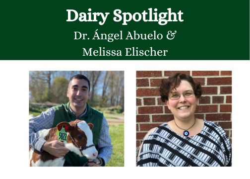 MSU Department of Large Animal Clinical Science's Dr. Ángel Abuelo and MSU Department of Animal Science's Melissa Elischer are featured as the latest Dairy Spotlights.

Read about Dr. Ángel Abuelo: canr.msu.edu/news/dairy-spo…

Read about Melissa Elischer: canr.msu.edu/news/dairy-spo…