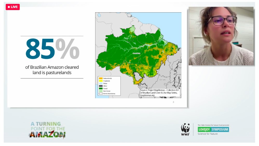 Lisa Rausch of @UWMadison walks us through the path to enhance sustainability of cattle ranching in the #Amazon. #WWFLovejoy
