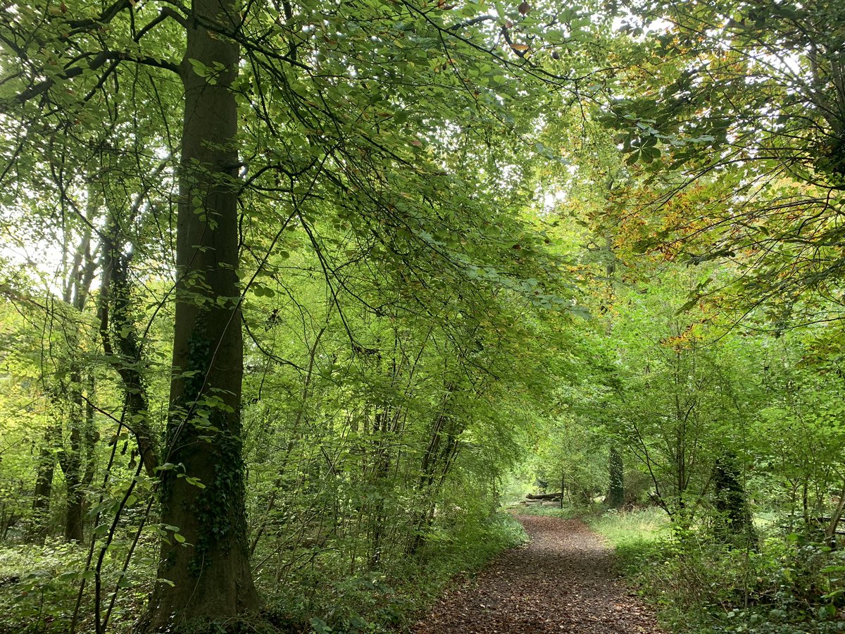 MC_Stear's tweet photo. Half term day out at one of our favourites Basildon Park @nationaltrust yesterday. “You can see for miles” as my son said! #everyoneneedsnature #nationaltrust #mummyday https://t.co/hHR97vVEdC