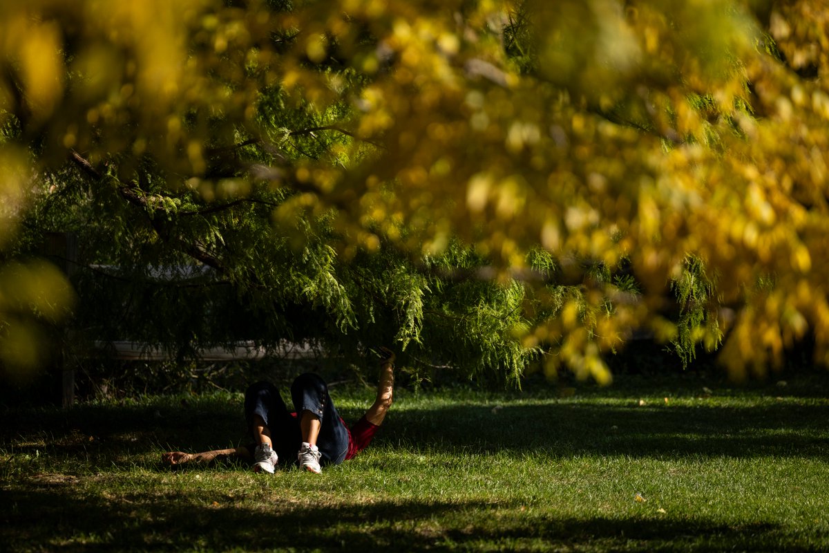 The perfect fall day doesn't exi— Chicago nears record-breaking temperatures with high of 80 degrees chicago.suntimes.com/2023/10/24/239…