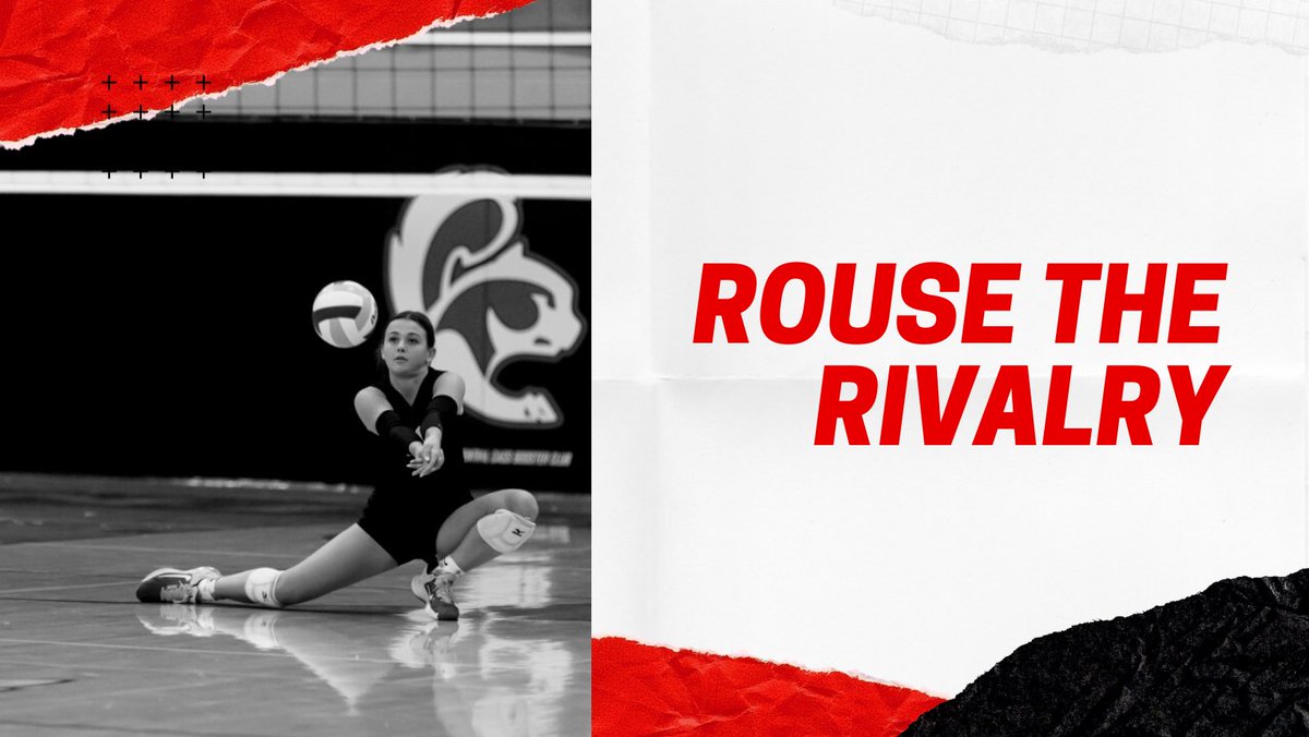 CCHS Volleyball tweet media