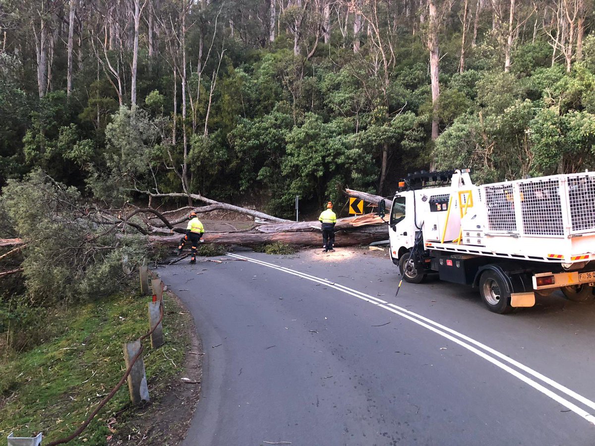 ROAD CLOSED: High winds has resulted in a tree falling down across Huon Road.  The City of Hobart’s after hours team is working now to remove it. It is expected to be cleared by 8am.