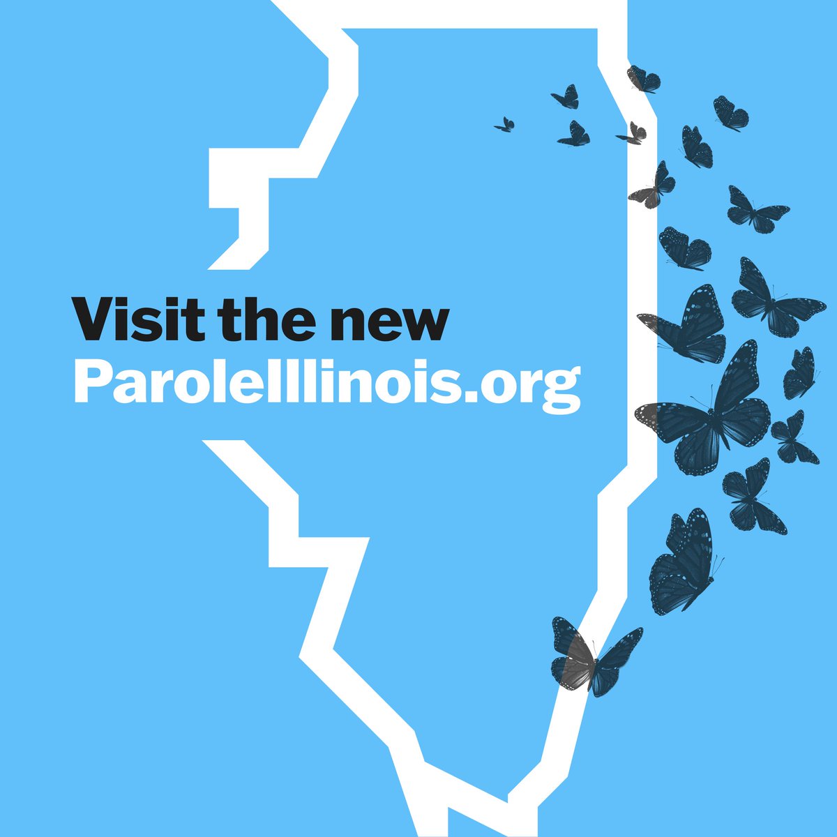 ParoleIllinois's tweet photo. We’ve launched our new website — which is full of info and ways to get involved — but we can’t make a difference without your help.
Learn more about us and see our new website for yourself: https://t.co/LN1v7V23nV
#BringBackParoleInIllinois #ParoleIllinois #BringBackParole https://t.co/IWxYh8Tc54