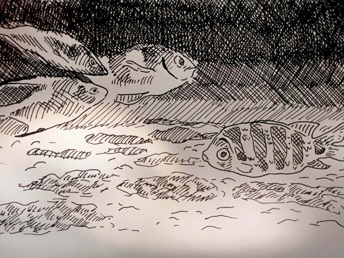 Inktober Day 24: #Shallow

#Inktober #Inktober2023 #Achurado #Crosshatching #TechnicalPen #Estilografo #Fish #ShallowWater #Sea #Mar #Pez #Peces #Oceano #Ocean #Superficie #Playa #Beach #Animal #Animals #Animales #Drawing #Dibujo #Arte #Art