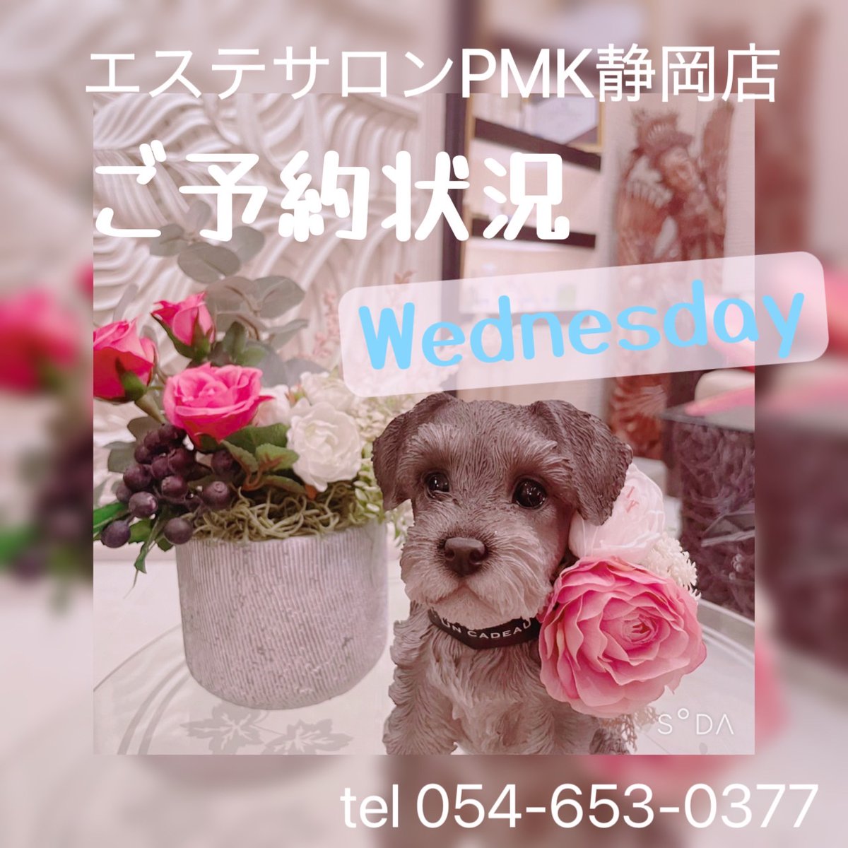pmkshizuoka's tweet photo. 皆様こんにちは！エステサロンPMK静岡店です🌟

10月25日（水曜日）ご予約状況
💙17：00～　１枠
すべてのメニューご案内可能でございます！

皆様のご来店お待ちしております☺️

【HP���https://t.co/tjnUjx4mLm 
#静岡エステ #バストアップ #ブライダル #フェイシャル #ダイエット #セルライト https://t.co/gGTHuFzoBx