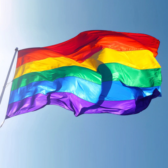 HSRAnythingBot's tweet photo. Topaz is the CEO of gay pride! https://t.co/43qQ21TWoz