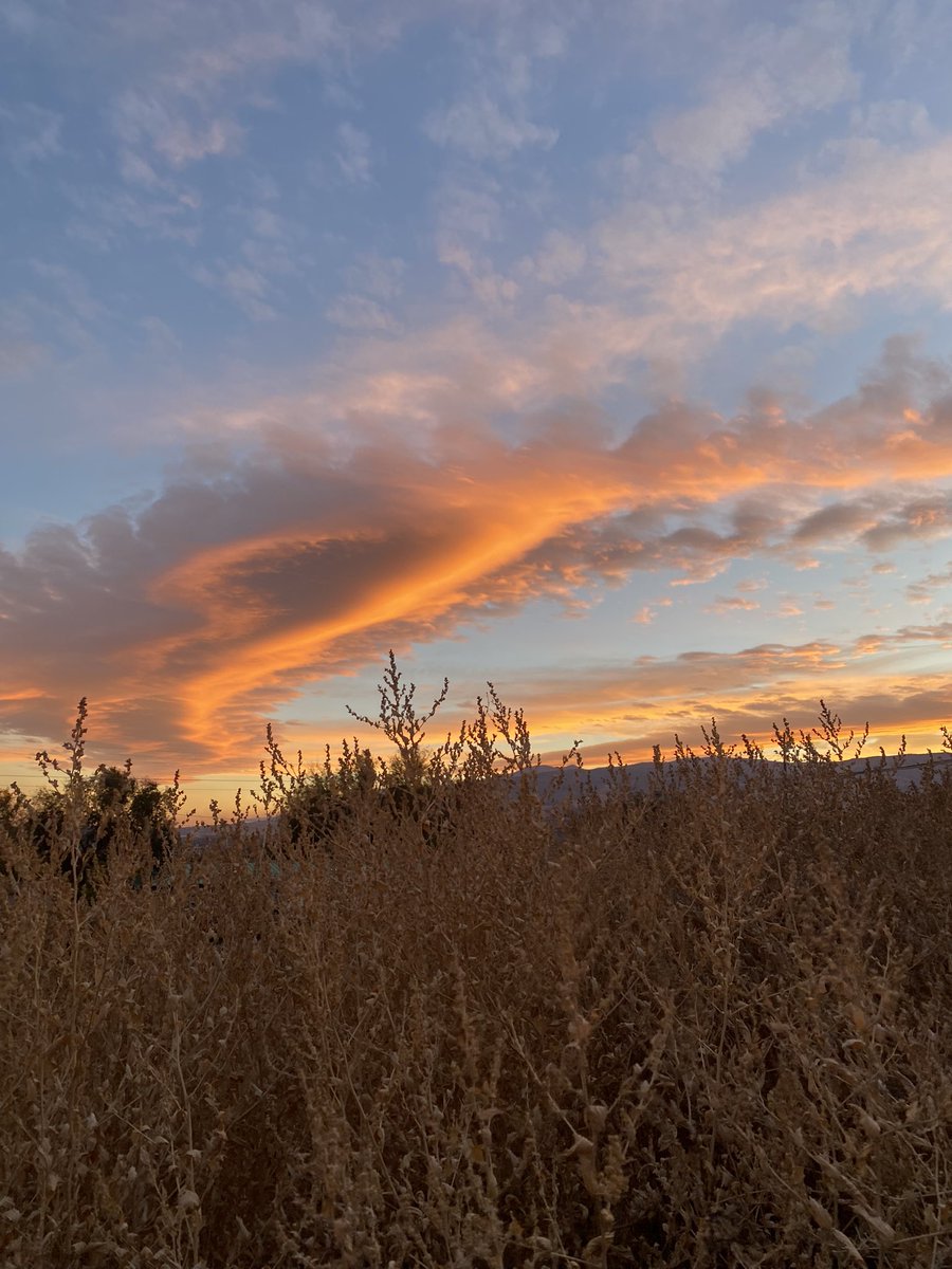 OurTownReno's tweet photo. #nofilter swirly sunset above Reno tonight as the weather takes a turn into a cold front #renoweather #renosunset https://t.co/RiCwfKTr06