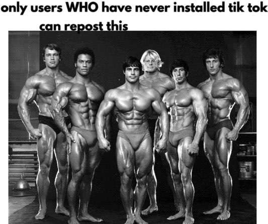 ShitpostGateway (@shitpostgate) on Twitter photo 