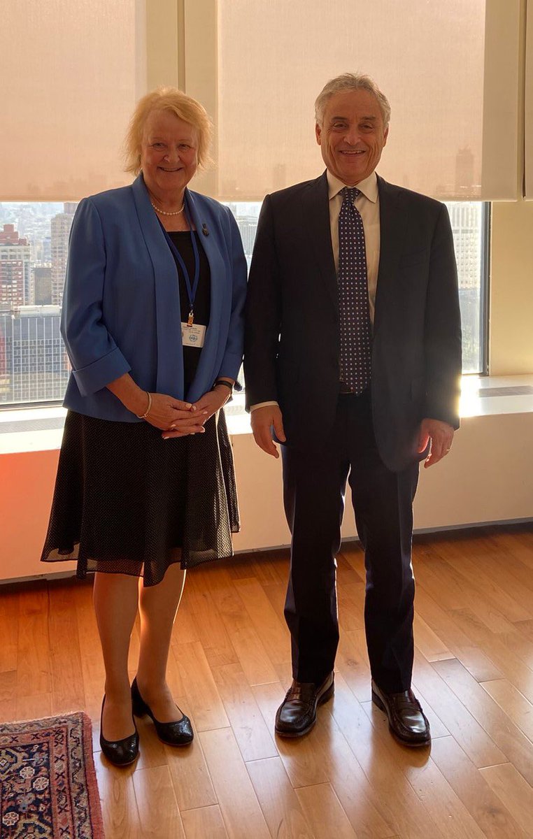 A pleasure to meet with Ambassador Maurizio Massari. @IDLO is grateful for Italy's longstanding support and its commitment to the #RuleOfLaw and #GoodGovernance to advance peace and sustainable development. @MauMassari @ItalyUN_Rome