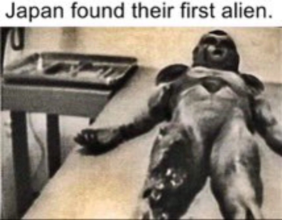 ShitpostGate's tweet photo. https://t.co/94As765Mu3