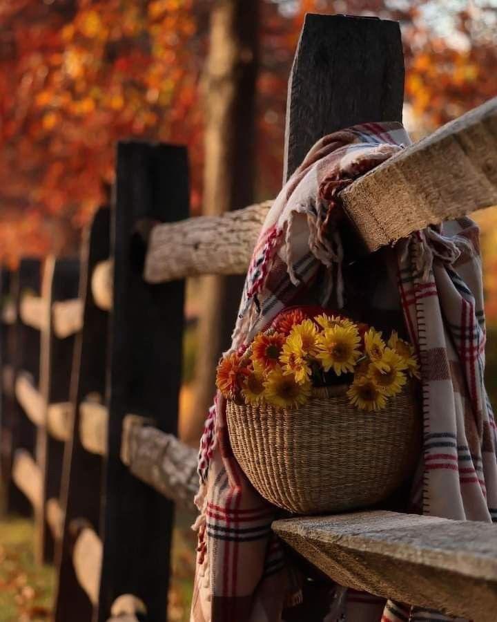 우리가
할수 있는 건

최선이다

그 나머지는
신의 영역이다

최선을 다했다면
신은 분명

좋은 결과를 줄수 밖에 없다.🖌

-털어봐 아프지않은사람있나-