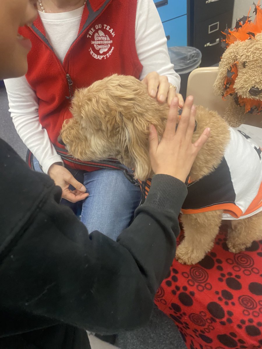 traceyfcps's tweet photo. Always great to visit with Zoey, Charlie, Otis &amp; Giuseppe #MiESExpressions https://t.co/cenHRfItRM
