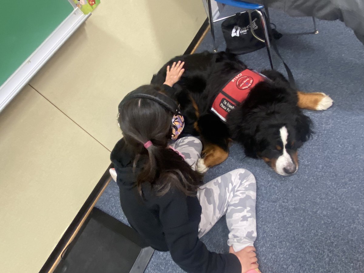 traceyfcps's tweet photo. Always great to visit with Zoey, Charlie, Otis &amp; Giuseppe #MiESExpressions https://t.co/cenHRfItRM