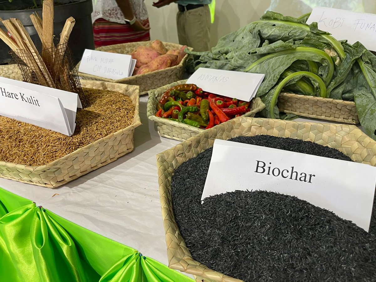 AusAmbDili's tweet photo. It was an honour for the 🇦🇺 Embassy to join the President 🇹🇱, HE José Ramos-Horta for the launch of new seed varieties and agriculture technologies through 🇦🇺’s #TOMAK program and #ACIAR funding to Ai-Com which is led by Ministry of Agriculture, Livestock, Fisheries and Forestry. https://t.co/CVdERH7sBI