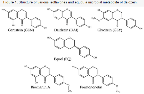 Toxins_MDPI's tweet photo. 📖#mdpitoxins Editor's Choice  
This narrative review provides an overview of the metabolism and effects of #isoflavones in #livestock.
🔗https://t.co/9nJS3to4VN
Corresponding☎️Dr. Doris Marko https://t.co/f1wDiTyLLX