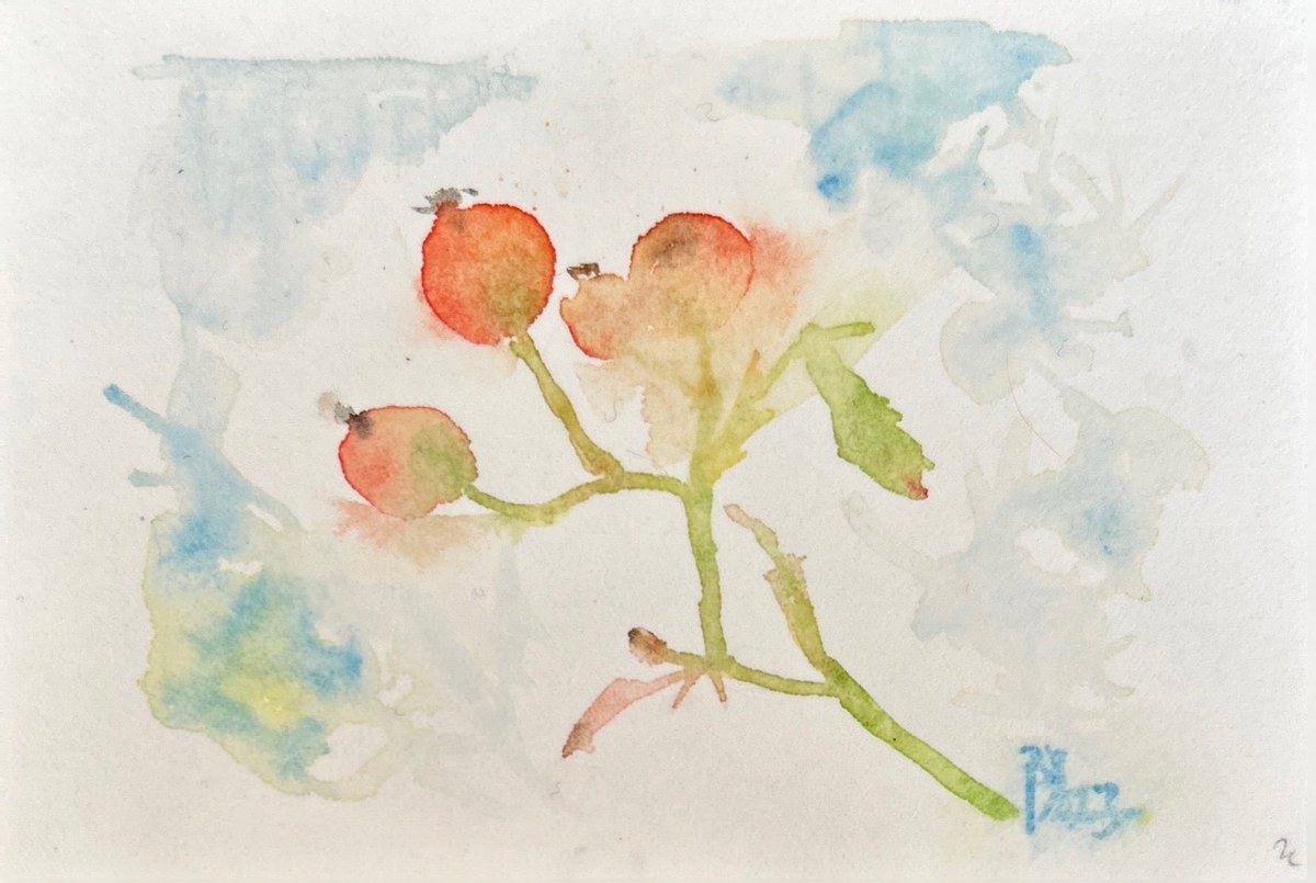 yoko3_18's tweet photo. 10月も深まりました😌
これは少し前の思い出かな
#透明水彩 #watercolor #今日の絵
#awagami hakuho postcard https://t.co/ZP7jJHAoHV