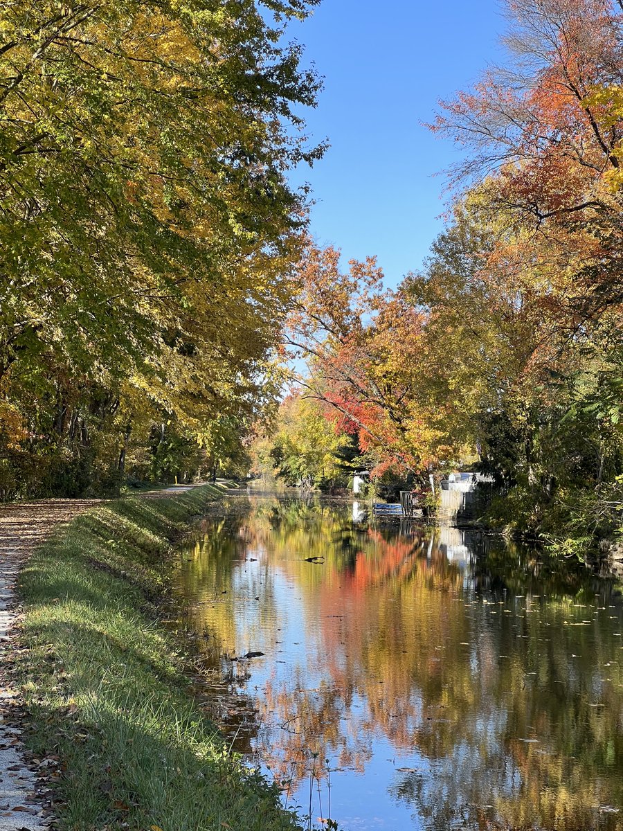 Allentown1711's tweet photo. Phenomenal 🚴🏻🚴🏻🚴🏻 on the most MAGNIFICENT autumn day!! 🍁🧡 Eeek! Sooo good for the mind, body and soul. Blessed to have the luxury to just 🚴🏻🚴🏻, soak up the sun and all the beauty of fall- on an indian summer day. #EnvelopedInBeauty #BikeLife #OctoberMiles #GratefulHeart #FilledMySoul #BikeGirl  #LifeIsABeautifulRide @Strava @trek