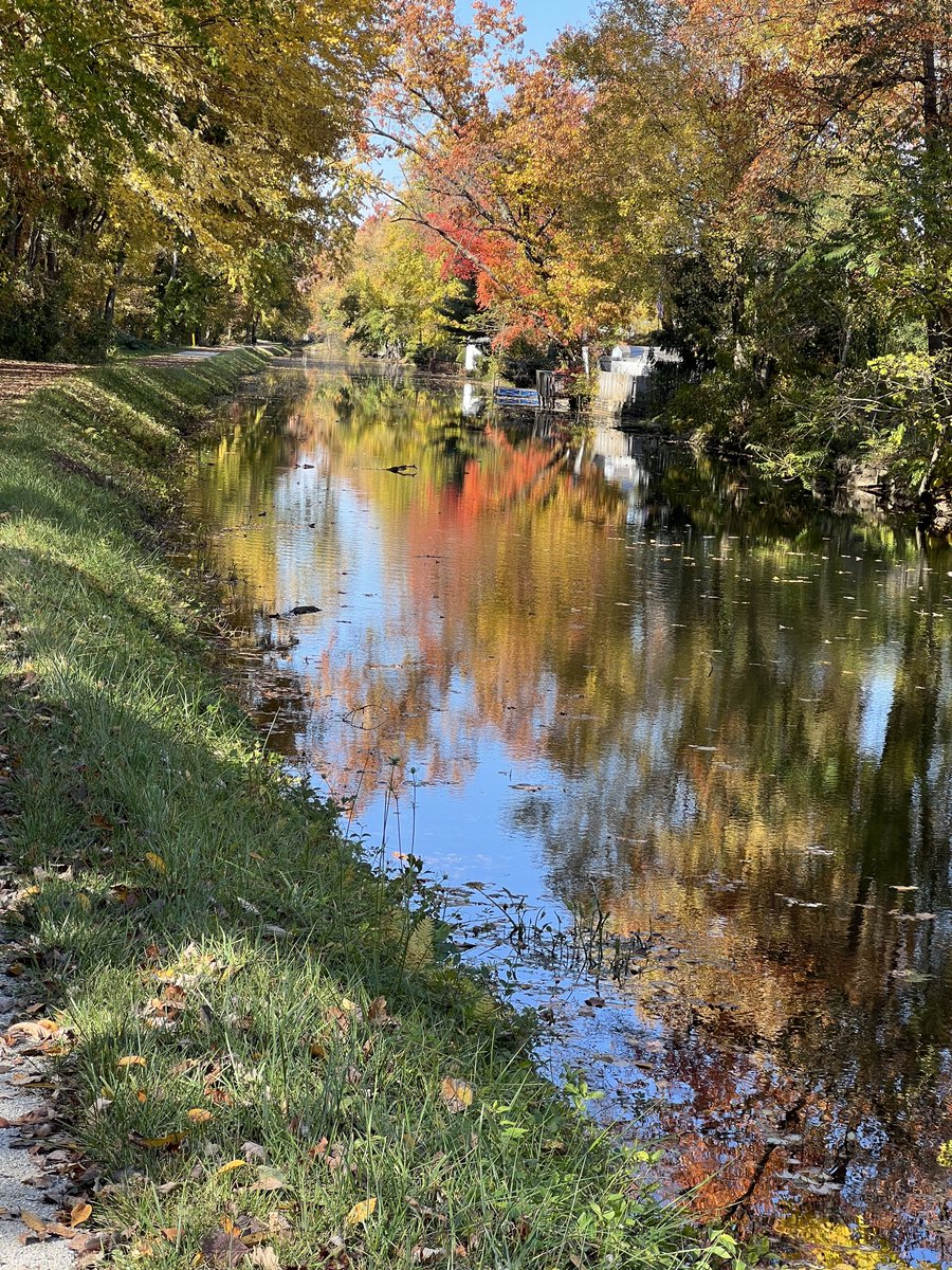 Allentown1711's tweet photo. Phenomenal 🚴🏻🚴🏻🚴🏻 on the most MAGNIFICENT autumn day!! 🍁🧡 Eeek! Sooo good for the mind, body and soul. Blessed to have the luxury to just 🚴🏻🚴🏻, soak up the sun and all the beauty of fall- on an indian summer day. #EnvelopedInBeauty #BikeLife #OctoberMiles #GratefulHeart #FilledMySoul #BikeGirl  #LifeIsABeautifulRide @Strava @trek