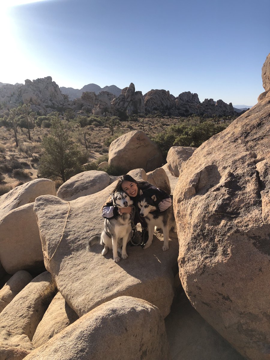 UPMCUrology's tweet photo. ✨Intern Spotlight✨
Welcome Sherry Huang! 
🏡Hometown: Thousand Oaks, CA
🎓Undergrad: WashU in St. Louis
🥼Med School: USC Keck SOM
🎨Hobbies: Reading, art, traveling, exploring new restaurants
🍦Fave ice cream: mango and pistachio gelato

@UroResidency @Uro_Res #Match2024 https://t.co/e6pEa3NaX6
