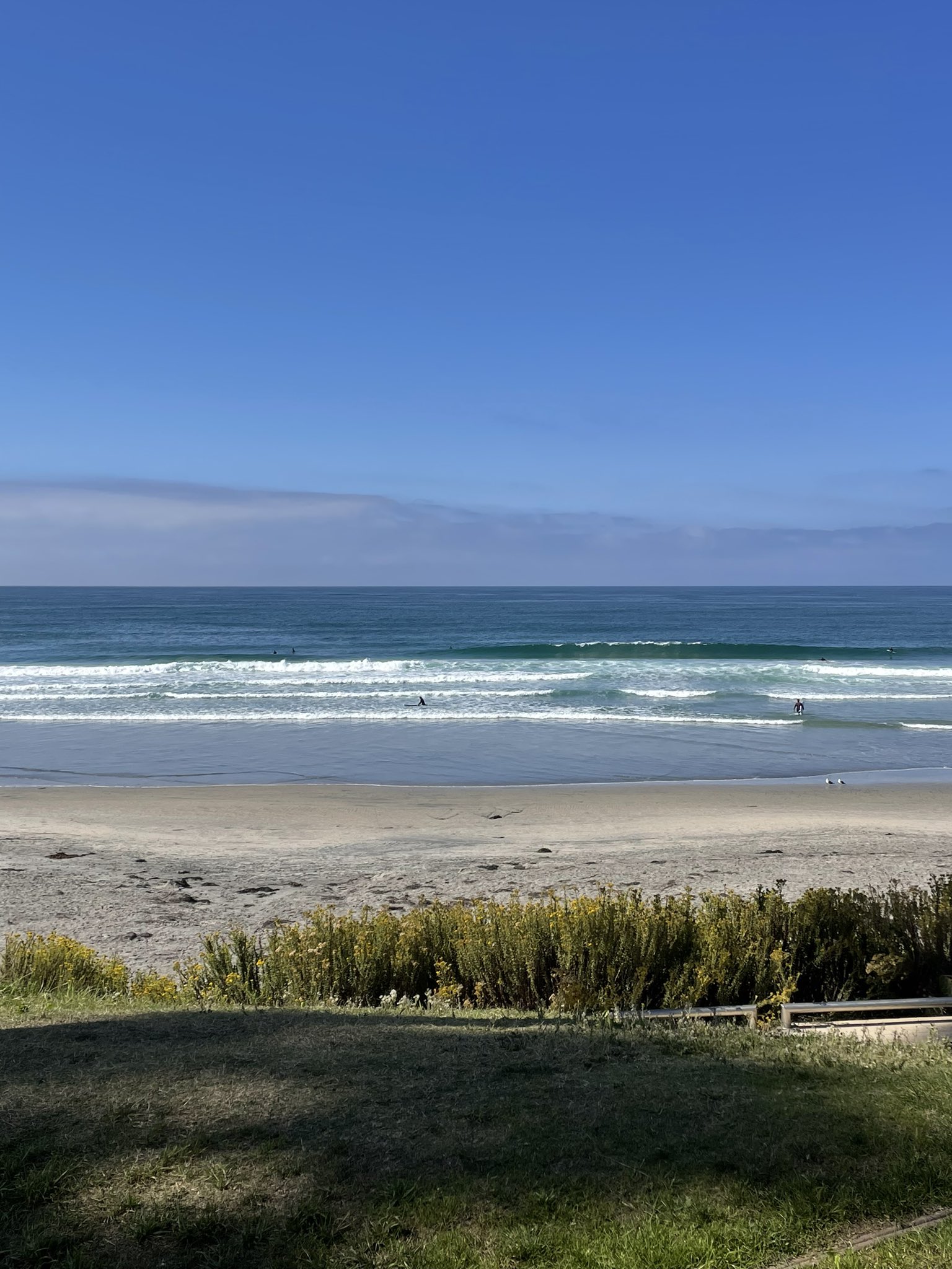 San Diego Unified STEAM Leadership Series and the Salk Institute for  Biological Studies Present: “The Places Your Imagination Takes You”—The 5th  Annual Women in Biotech at the Salk