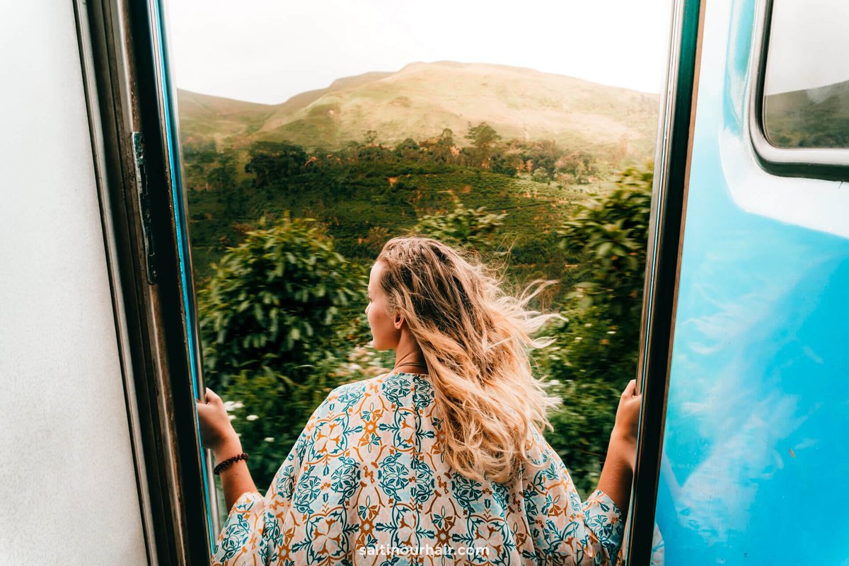 CeylonApex's tweet photo. Scenic Train Rides

Experience the world-famous scenic train rides in Sri Lanka! Travel through lush landscapes and witness jaw-dropping views from the comfort of your seat.  #TrainJourney #SriLankanScenery

.. 🤗 ... Safe Travel of Sri Lanka ...❤...
📸Credit to respective owner https://t.co/jl7J5w0DgN