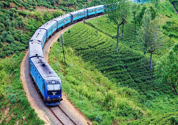 CeylonApex's tweet photo. Scenic Train Rides

Experience the world-famous scenic train rides in Sri Lanka! Travel through lush landscapes and witness jaw-dropping views from the comfort of your seat.  #TrainJourney #SriLankanScenery

.. 🤗 ... Safe Travel of Sri Lanka ...❤...
📸Credit to respective owner https://t.co/jl7J5w0DgN