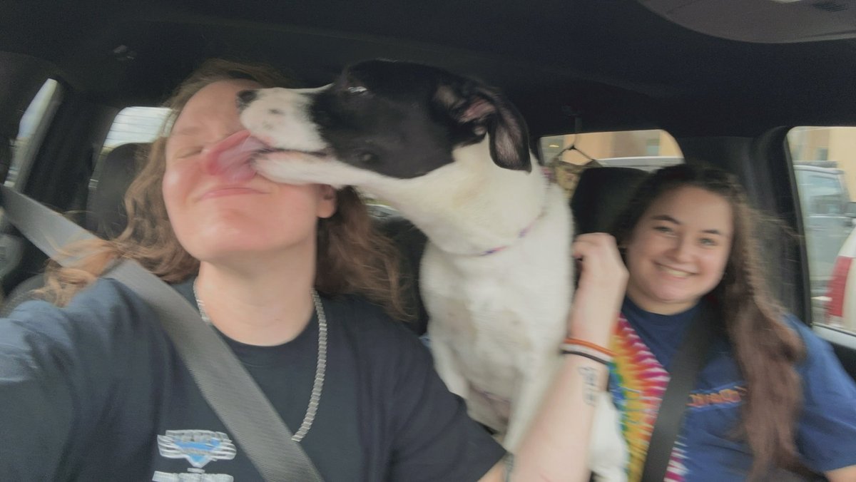 Sully found his forever home in my heart❤️