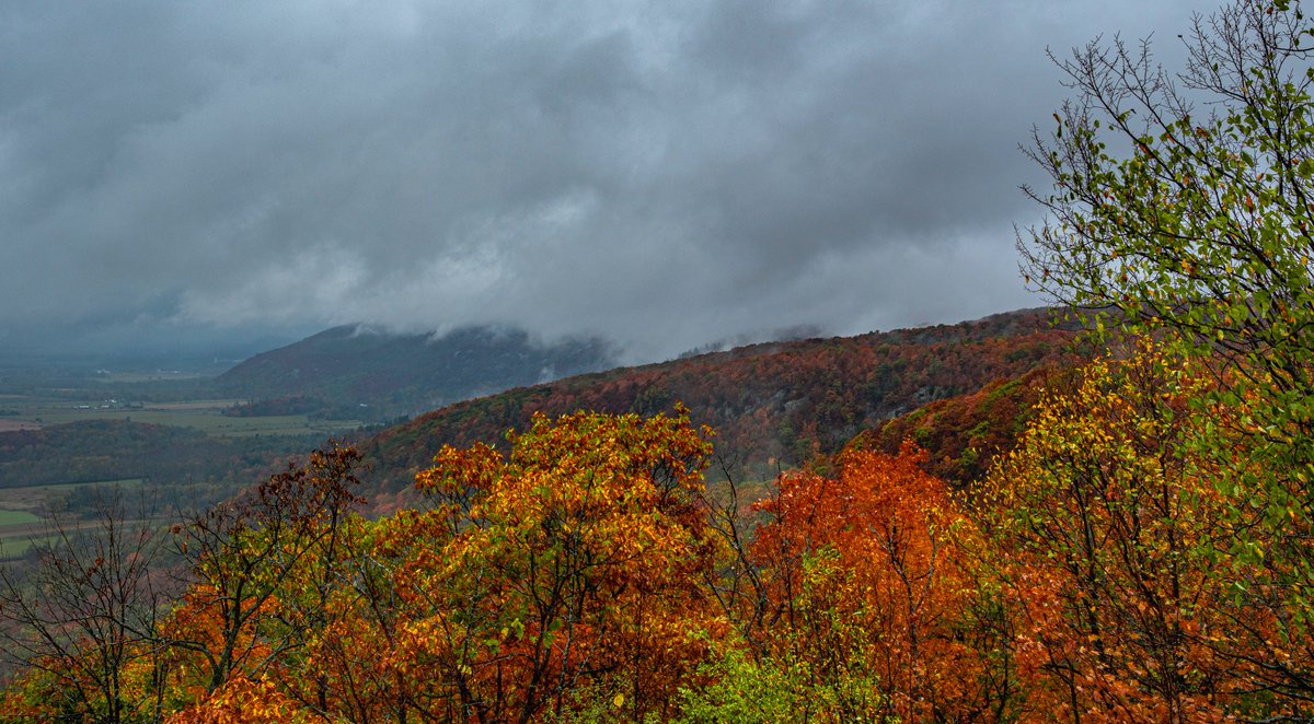 Very soon, the colour will gone with the air..
#autumn in raining day #MyOttawa <a href="/NCC_GatPark/">Gatineau Park</a> <a href="/NCC_CCN/">National Capital Commission</a> 
#ThePhotoHour <a href="/StormHour/">#StormHour</a> #Stormhour 
#fallfoliage #AutumnVibes #landscape #landscapephotography