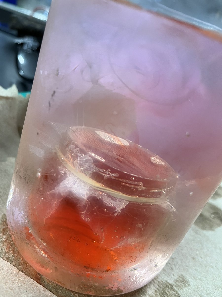 MrsLAVILEZ tweet media