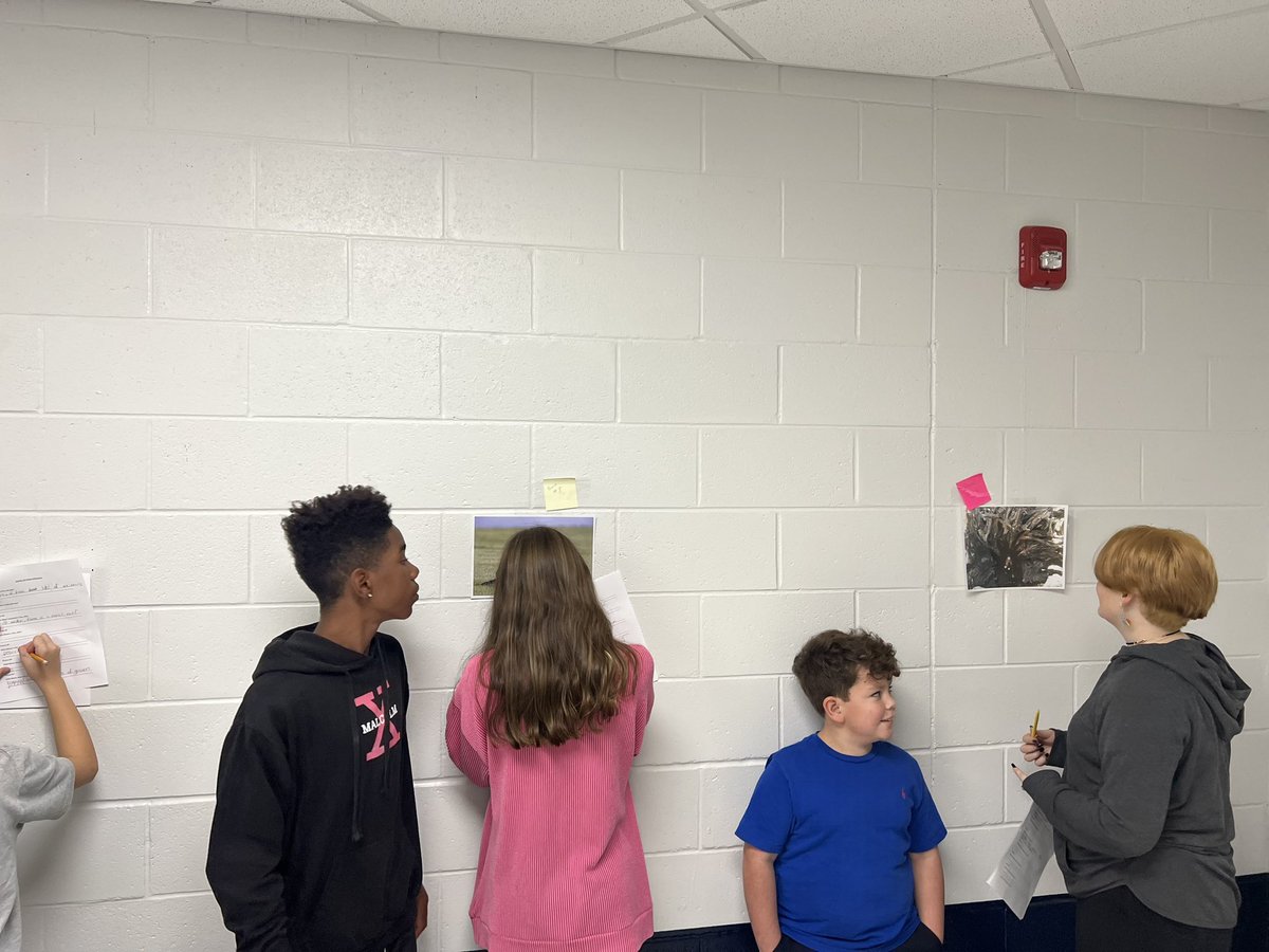 lms_pats's tweet photo. Identifying different Biomes and 2 major water ecosystems!
#LMSPATS #ecosystemsunit #learningandexploring https://t.co/3vYShfbJza