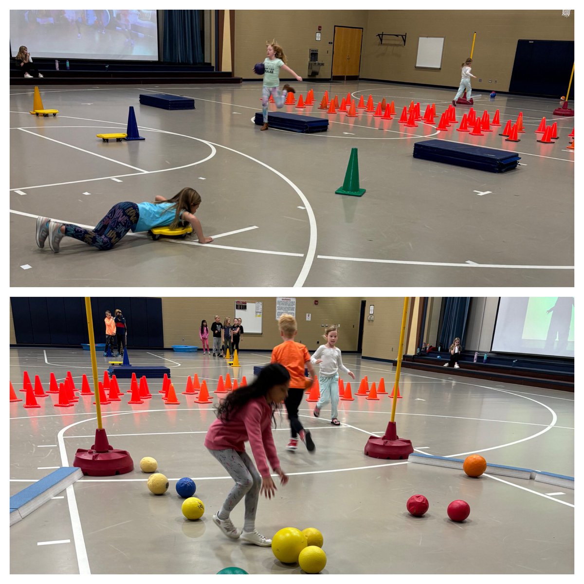 scephysed's tweet photo. We’ve had so much in our pumpkin patch relay races so far this week! @SCECougars https://t.co/Basui81rLi