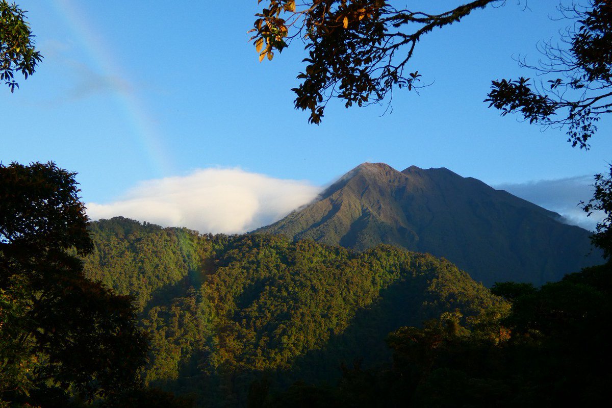 fespinozadej's tweet photo. And to my favorite place: Sumaco National Park! #Sumaco #Volcano #NationalPark #ProtectedAreas #Amazon #Rainforest https://t.co/pdFnxyMb7n