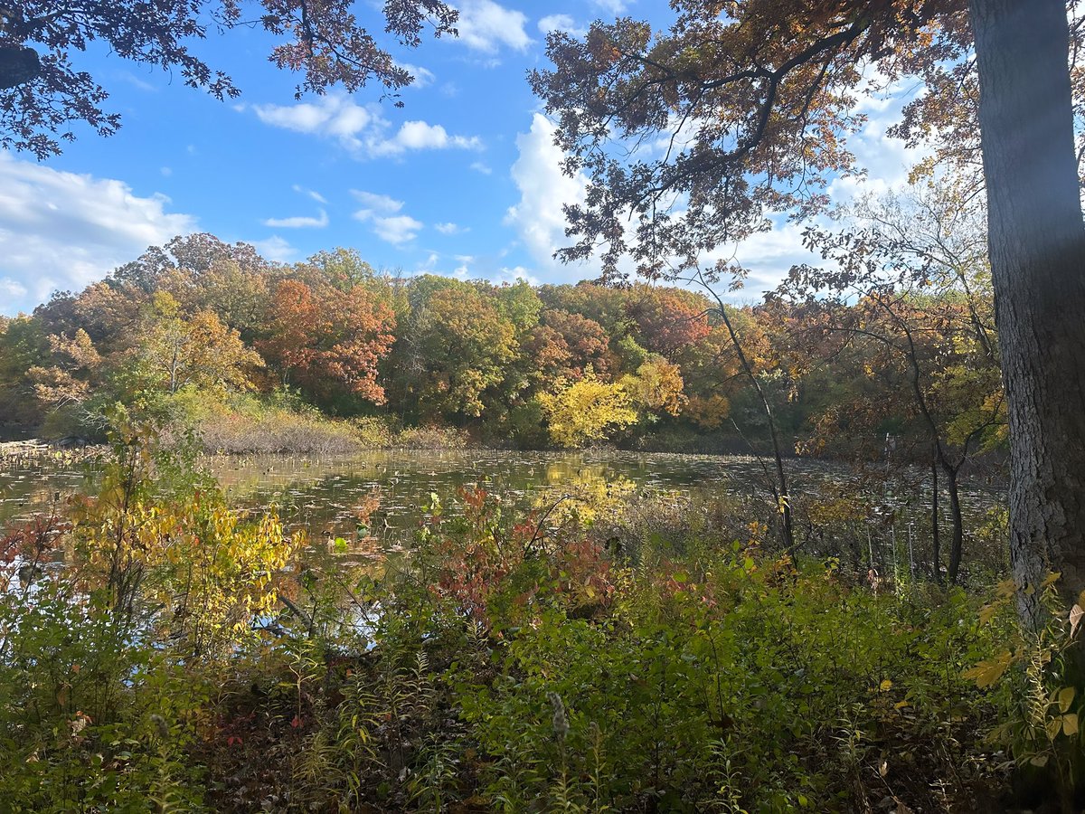 SalyardsClass's tweet photo. We had the most GORGEOUS day at @SunriseLakeOEC today! The fall trees were really showing us their true colors.🍁 🌳 https://t.co/xhNXosMJgs