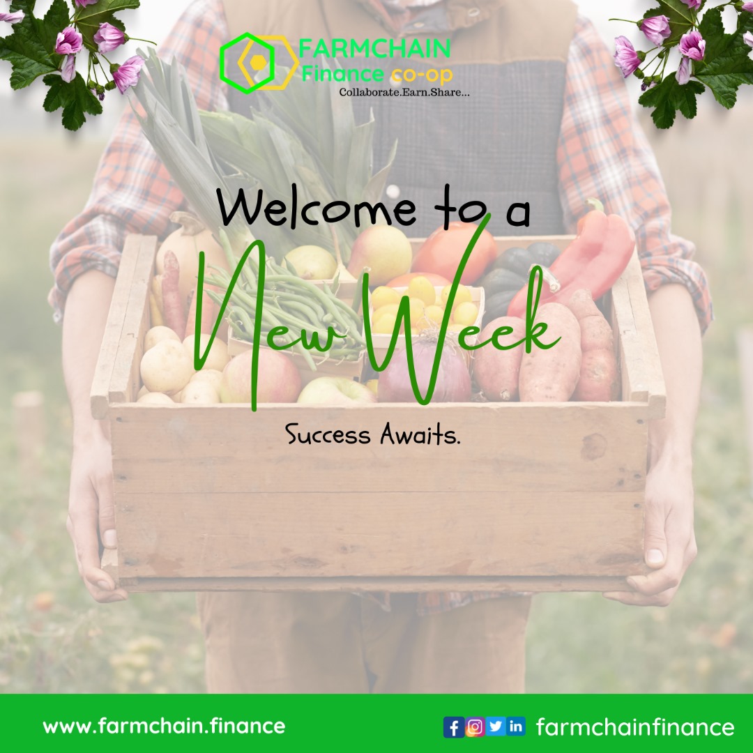 Farmchainfinanc's tweet photo. It's Another Beautiful Week π³!
Success comes from consistent #BUIDL and we keep to it with focus on sustainable #Coop food ecosystem π―π
#Farmchainfinance #fintech #NFTs @_CryptoBootcamp @Adaverse_Acc @CV_Labs @OfficialSiban @wakandainuQueen @truzact https://t.co/A167pS5Gxj